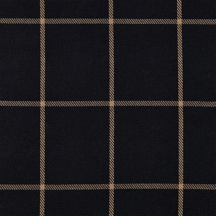 Ashbury Windowpane Black Plaid Swatch Swatch