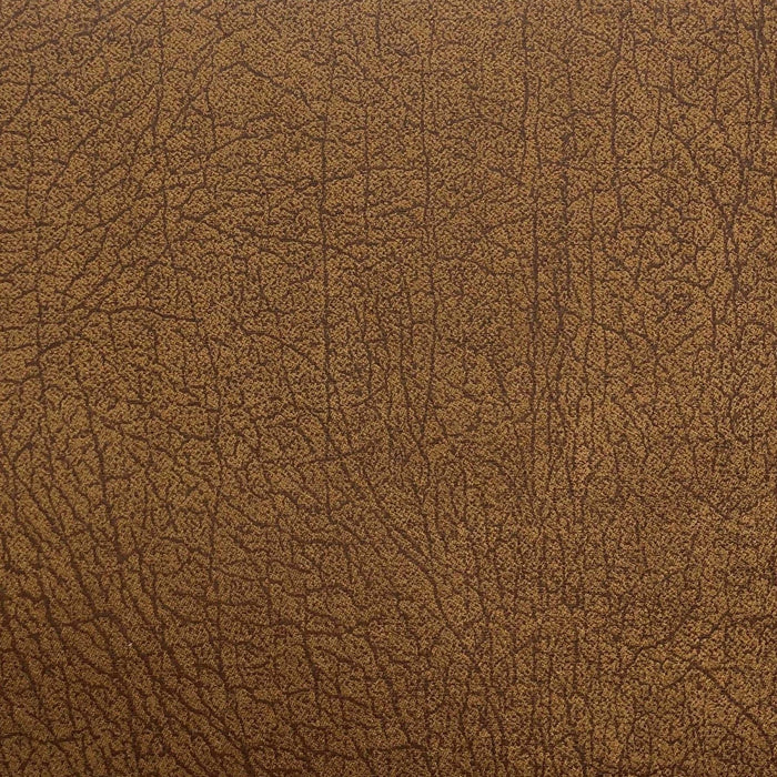 Las Cruces Faux Leather Swatch Swatch