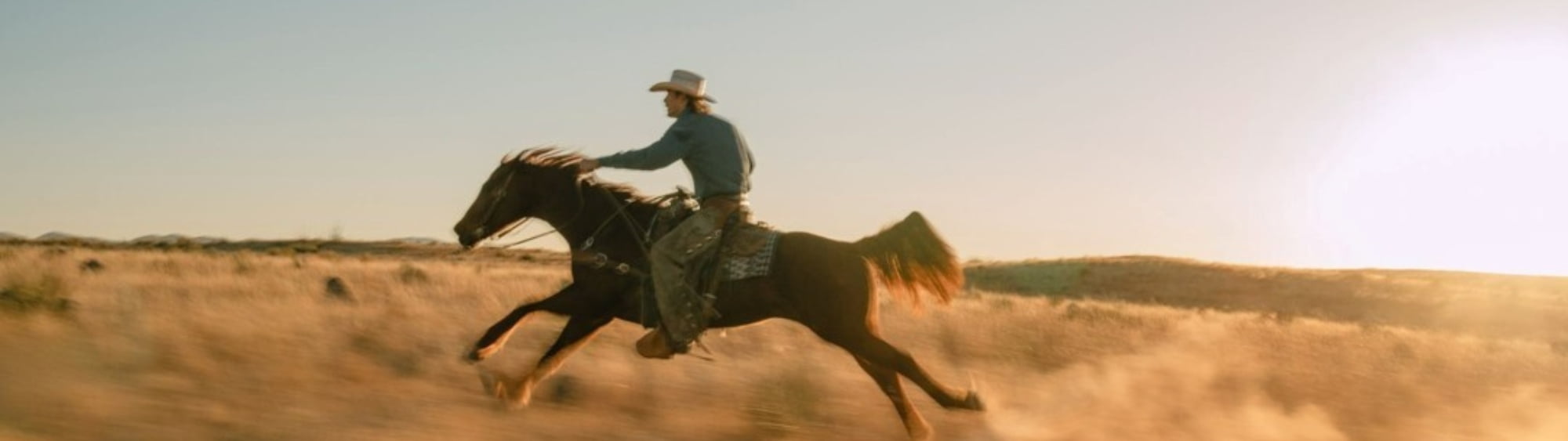 Stetson Home Collection