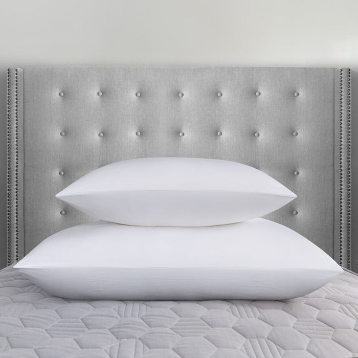 Firm euro pillow inserts best sale