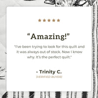 Ranch Life Western Toile Reversible Quilt Set Quilt