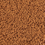 Teddy Swatch Caramel Swatch