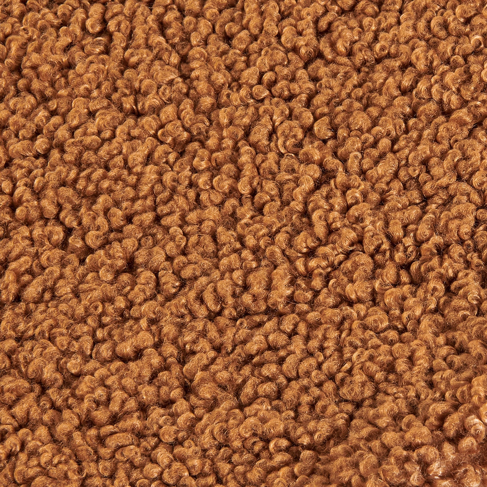 Teddy Swatch Caramel Swatch