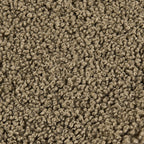 Teddy Swatch Dark Oak Swatch