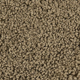 Teddy Swatch Dark Oak Swatch