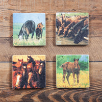 4 PC Horses Coaster Set Coaster