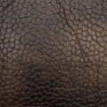 Brown Leather Reversible Swatch Swatch